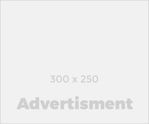 300×250Banner_Blank