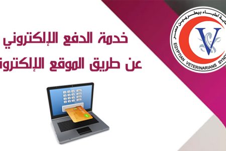 خدمة الدفع الإلكتروني