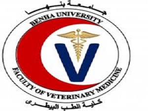 برنامج”طب وجراحة الحيوانات الأليفة” الترم الثانى بطب بيطري بنها