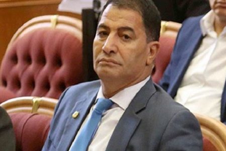 البدرى ضيف يطالب الحكومة بإطلاق مشروع قومى للقضاء على الحمى القلاعية