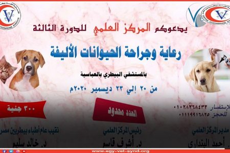 على مدار يومين.. المركز العلمي ينظم دورة رعاية وجراحة الحيوانات الأليفة