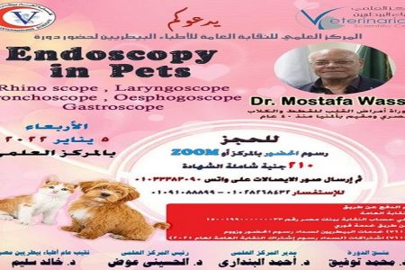 المركز العلمي ينظم دورة «endoscopy in pets» ٥ يناير